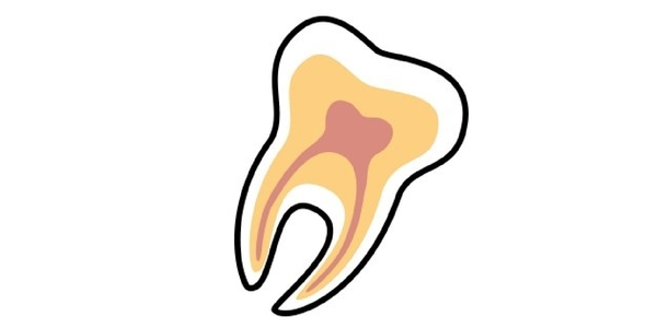 tooth