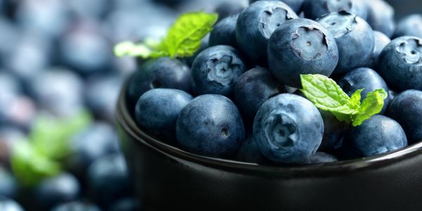 Blueberry antioxidant organic superfood in a bowl concept for healthy eating and nutrition